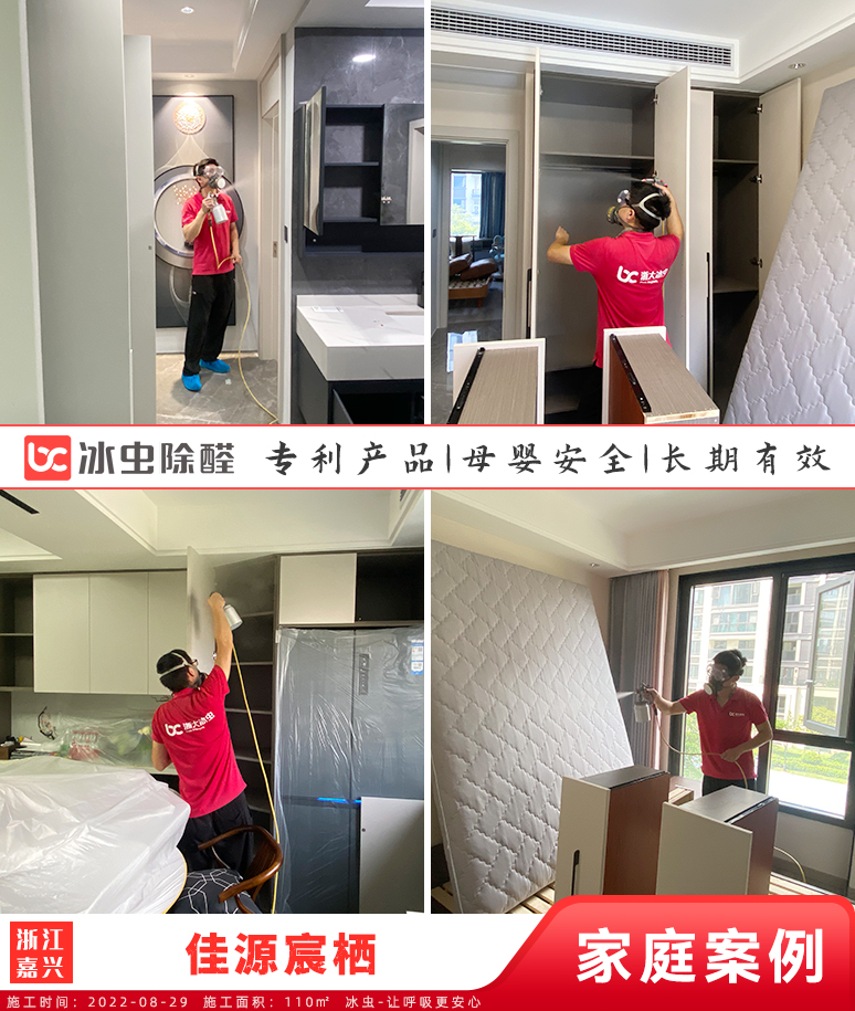 佳源宸栖--嘉兴除甲醛