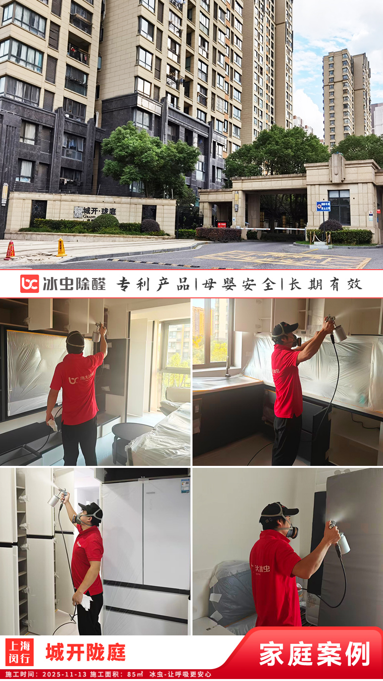 冰虫新房除甲醛案例-上海闵行区-城开陇庭 