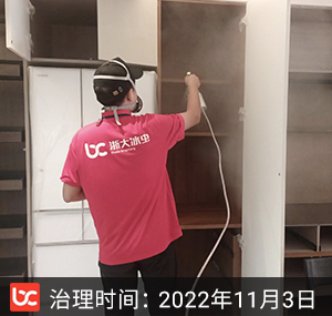 白鹭郡南-杭州除甲醛