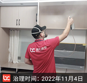 大关东-杭州除甲醛