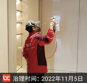 翡郦中心--杭州除甲醛