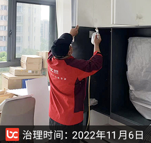 蓝色港湾--上海除甲醛