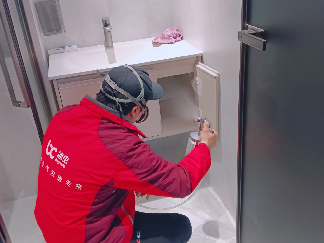 冰虫除甲醛高级环境工