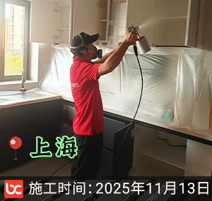 上海-城开陇庭-除甲醛