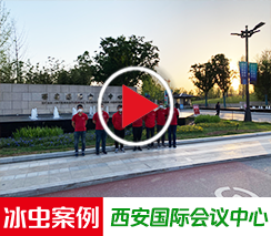 冰虫除甲醛